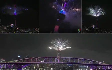 New Zealand में नए वर्ष के जश्न की शुरुआत, रोशनी से जगमगाया ऑकलैंड