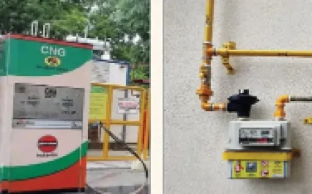 Delhi-NCR वालों को नए साल के मौके पर मिला गिफ्ट, जानें कितनी सस्ती हो गई CNG और PNG…