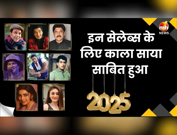 Year Ender 2025 : इन सेलेब्स के लिए काला साया साबित हुआ 2025, परिवार पर टूटा दुखों का पहाड़...