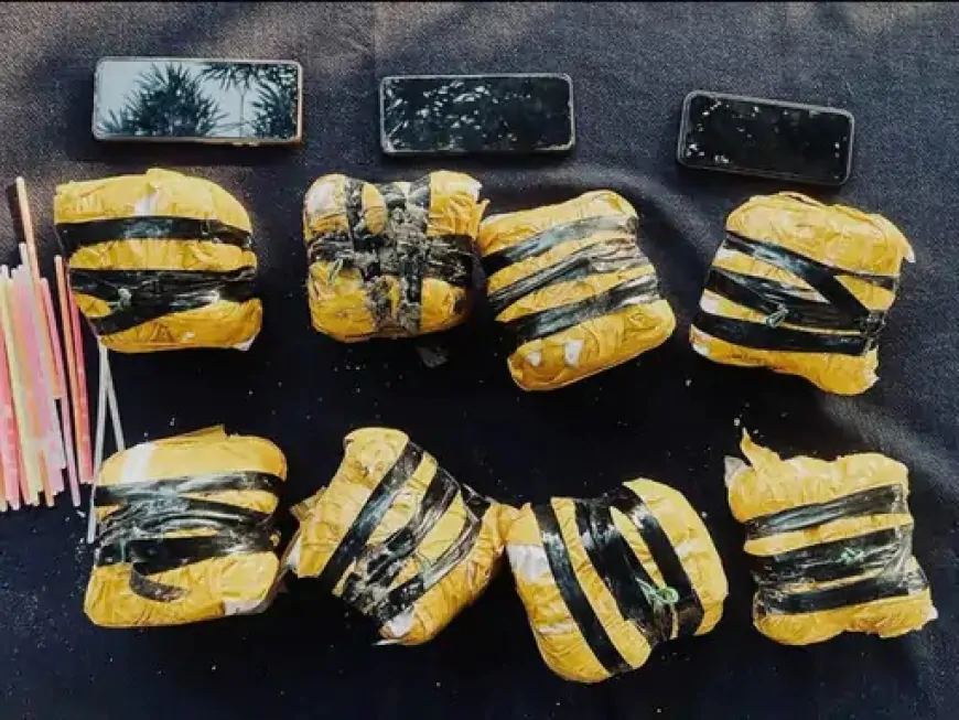 Punjab : BSF और ANTF की कार्रवाई, भारत-पाक सीमा पर 2 नशा तस्कर गिरफ्तार