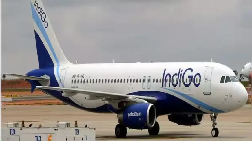 Indigo Crisis : इंडिगो को लेकर सरकार सख्त, दूसरी एयरलाइन की बढ़ सकती हैं फ्लाइट्स