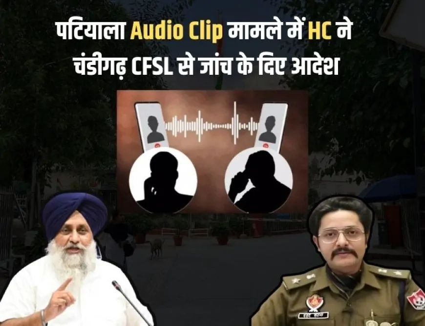 Punjab : SSP कथित ऑडियो क्लिप का मामला...HC ने चंडीगढ़ CFSL से जांच कराने के दिए आदेश