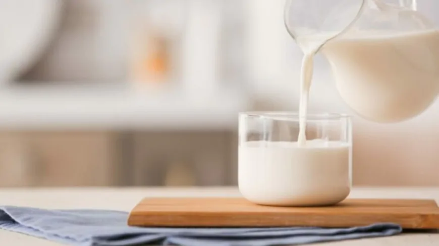 Punjab : एक्शन में FSSAI, मिलावट के ‘खेल’ पर शिकंजा, 3 साल में 902 सैंपल फेल