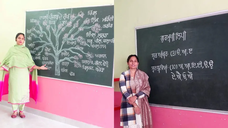 Punjab : सरकारी स्कूल में शिक्षिका ने जगाई पंजाबी भाषा की अलख, सोशल मीडिया के जरिए करोड़ों लोगों तक पहुंचाई मातृभाषा की आवाज