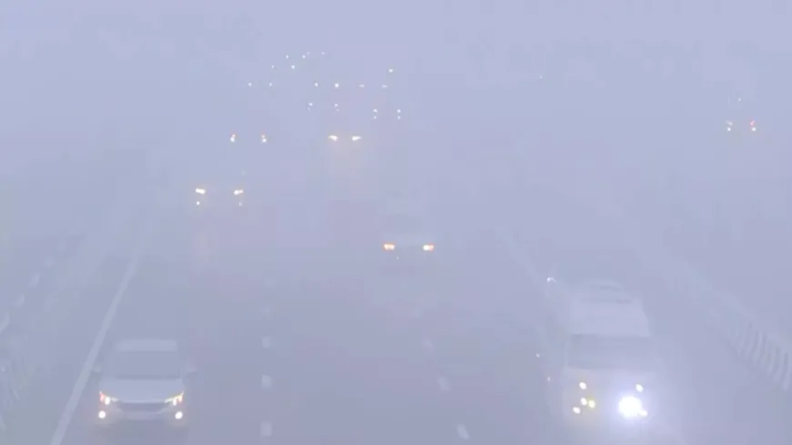 Delhi : सुबह-सुबह कोहरे की मोटी चादर में लिपटी दिल्ली, हादसे के डर से धीमी हुई वाहनों की रफ्तार 