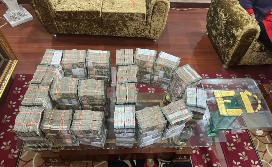 पंजाब, हरियाणा समेत 13 जगहों पर ED की छापेमारी, फर्जी तरीके से विदेश भेजने का है मामला