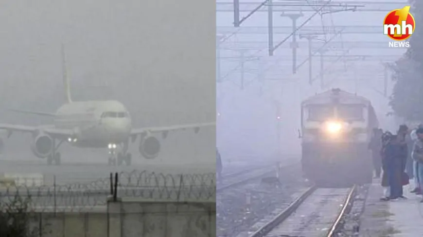 Weather Update : धुंध की चादर से घिरा उत्तर भारत, थम गई ट्रेनों की रफ्तार, कई उड़ानें रद्द