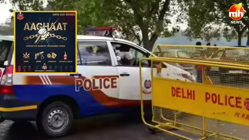 Delhi : नए साल के जश्न से पहले पुलिस का 'ऑपरेशन आघात 3.0', हथियार-नशा-कैश सहित 285 अपराधी दबोचे