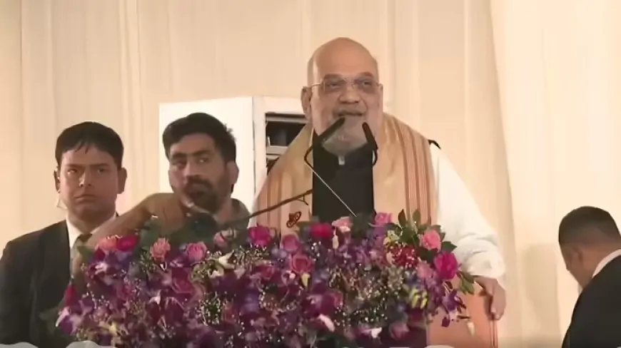 असम में अमित शाह की दहाड़, बोले- चुन-चुनकर घुसपैठियों को देश से निकालेंगे बाहर