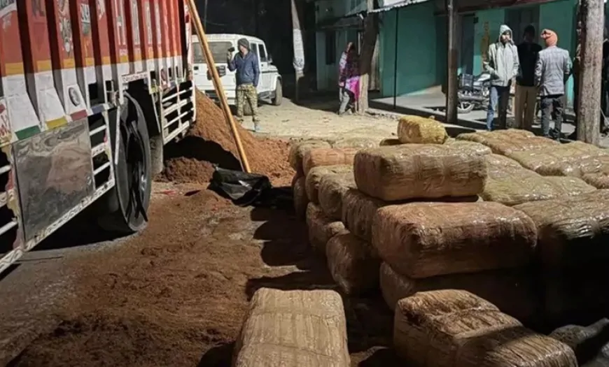 Chhattisgarh : 1200 किलो गांजे के साथ तीन गिरफ्तार, ट्रक में छिपाकर लेकर जा रहे थे गांजा