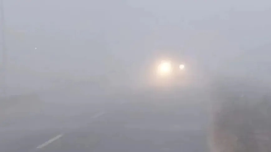 Delhi : घने कोहरे से घिरी Delhi-NCR, नए साल पर और बढ़ेगी ठंड