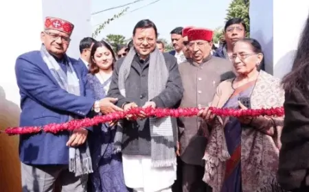 Uttarakhand : CM धामी ने 'माल्टा मिशन' का किया शुभारंभ, ग्रामीण लोगों को मिलेगा रोजगार