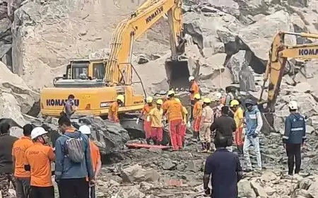 Odisha : ढेंकनाल में पत्थर की खदान में भयावह हादसा, 2 की मौत, कई लोगों के दबे होने की आशंका
