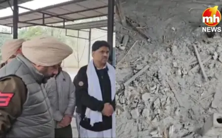 Punjab : पटियाला के घलौरी गेट शमशान घाट से चोरी हुई अस्थियां, परिवार ने तांत्रिकों पर जताया शक