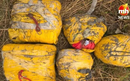 Punjab : नशा तस्करी के खिलाफ BSF की बड़ी कार्रवाई....20 किलो हेरोइन जब्त, आरोपी गिरफ्तार