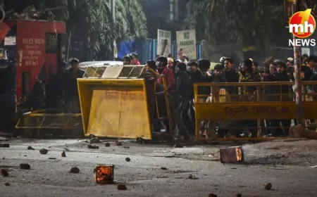 Delhi तुर्कमान गेट पत्थरबाजों पर एक्शन तेज, 30 लोगों की हुई पहचान, पुलिस के पास 400 से ज्यादा वीडियो…