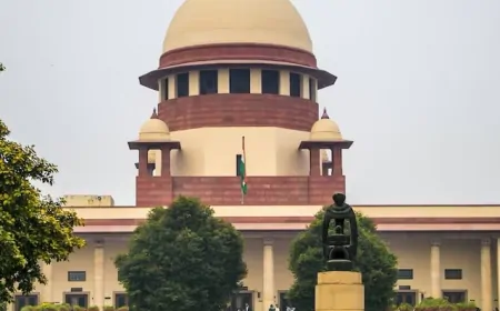 स्ट्रे डॉग्स की सुनवाई पर SC की टिप्पणी, कहा - डरने वालो को सूंघकर काटते हैं आवारा कुत्ते