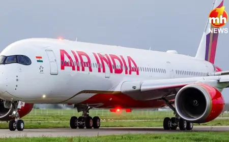 Air India के बेड़े में दाखिल हुआ नया विमान, 8 साल बाद मिला 'लाइन फिट' विमान