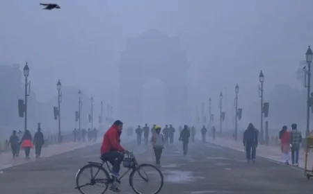 Delhi-NCR में कड़ाके की ठंड का कहर, बारिश के बाद बढ़ी गलन, 15 जनवरी तक राहत के आसार नहीं