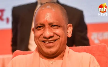 UP में गायों के लिए हुआ विशेष इंतजाम, करीब 20 जिलों में बने कंट्रोल रूम, CCTV से हो रही आश्रय स्थलों की निगरानी 