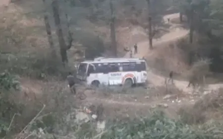 Himachal Pradesh : मंडी में निजी बस खाई में गिरी, 1 महिला की मौत, 5 घायल