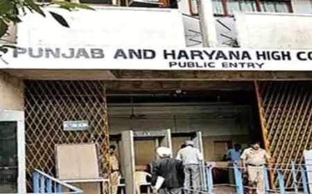 Punjab एंड हरियाणा हाईकोर्ट का आदेश, 31 जनवरी तक होना चाहिए मोगा मेयर का चुनाव