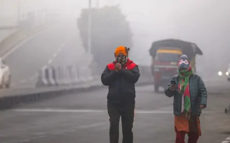 Punjab में घना कोहरा, लोहड़ी का उत्साह पड़ा फीका, दिल्ली में 2023 के बाद सबसे ज्यादा ठंड