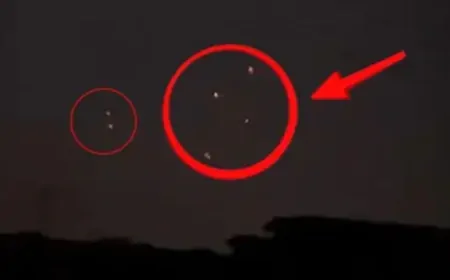 J&K : राजौरी में LoC के पास पाकिस्तानी ड्रोन की घुसपैठ, सेना की फायरिंग के बाद PoK की ओर लौटे