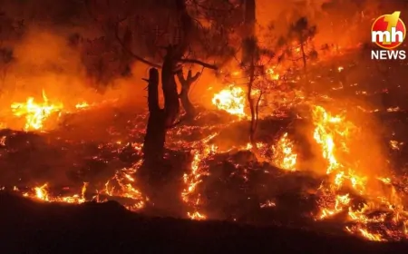 Uttarakhand : उत्तराखंड के जंगलों में लगी भीषण आग, खेतों तक पहुंचीं लपटें…सेंटिनल-2 ने अंतरिक्ष से भेजी डराने वाली तस्वीर