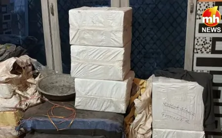 UP News : गणतंत्र दिवस से पहले हापुड़ में पुलिस की बड़ी कार्रवाई, 200 किलो विस्फोटक के साथ एक आरोपी गिरफ्तार