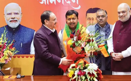 जीरो सैलरी… फिर भी इतनी ताकत? नितिन नबीन की नई जिम्मेदारी