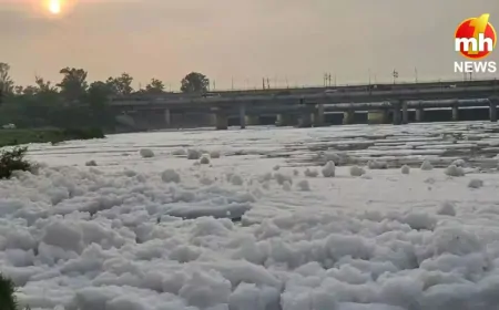 Delhi : यमुना में 3 गुना बढ़ा अमोनिया का स्तर, कई इलाकों में वॉटर सप्लाई बाधित