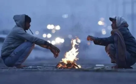 उत्तर भारत में फिर बढ़ेगी ठंड, शीतलहर का अलर्ट जारी