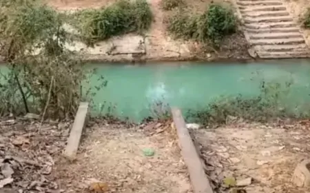 Chhattisgarh : कोरबा में रातों-रात 60 फीट लंबा पुल गायब, 5 लोग गिरफ्तार