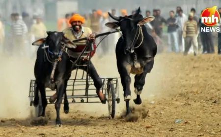 Punjab : रूरल ओलंपिक का शेड्यूल जारी, बैलगाड़ियों का रजिस्ट्रेशन करवाना जरूरी