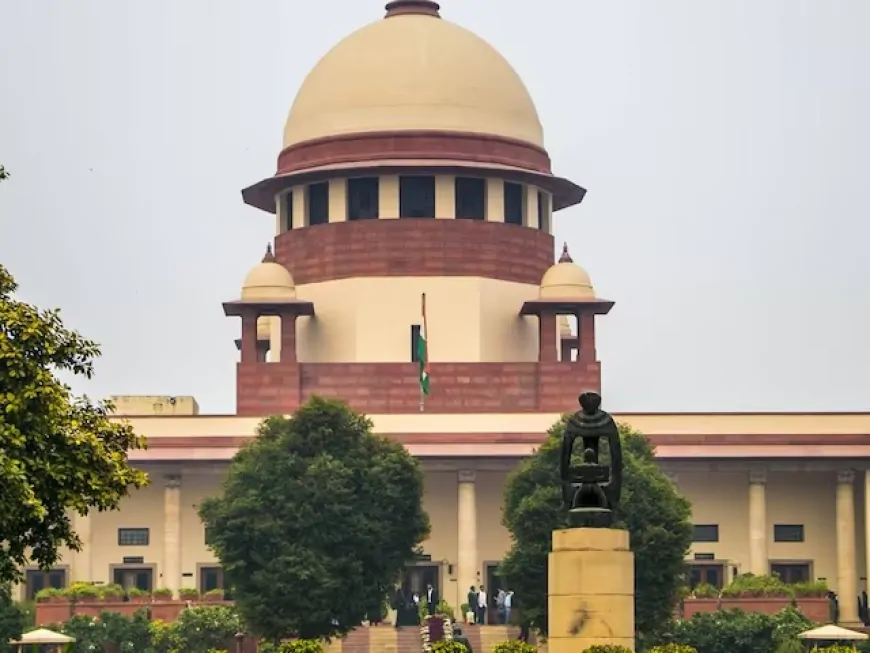 स्ट्रे डॉग्स की सुनवाई पर SC की टिप्पणी, कहा - डरने वालो को सूंघकर काटते हैं आवारा कुत्ते