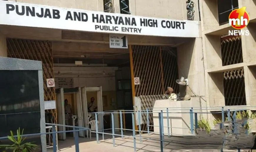 Punjab : मोगा में मेयर चुनाव को लेकर हाईकोर्ट ने दिया आदेश, जानें कब होगा चुनाव…