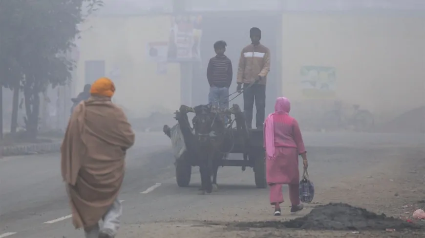 Punjab-चंडीगढ़ में कड़ाके की ठंड, शीतलहर का ऑरेंज अलर्ट; घने कोहरे से जनजीवन प्रभावित