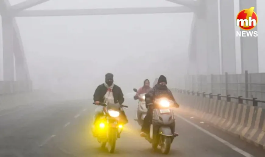 Delhi-NCR में छाया घना कोहरा, विजिबिलिटी जीरो, अगले दो दिनों के लिए येलो अलर्ट जारी…