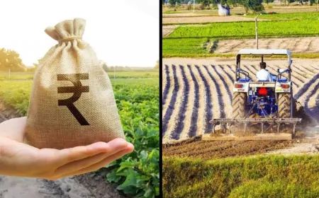 Union Budget 2026 : किसानों को आत्मनिर्भर बनाने के लिए बड़ा कदम, AI टूल ‘भारत-VISTAAR’ का ऐलान