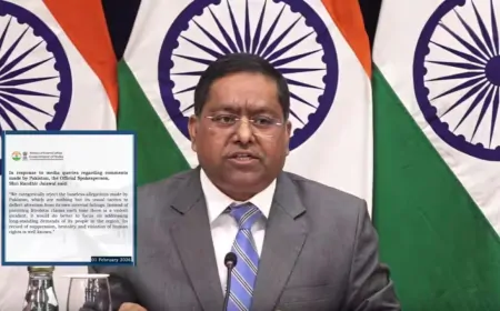 BLA के हमले से पाकिस्तान में हड़कंप, भारत पर लगाया आरोप, विदेश मंत्रालय ने दिखा दी औकात