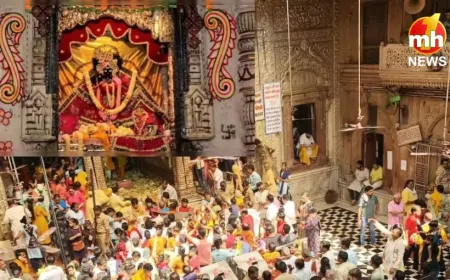 UP News : सलीम अहमद को मिला बांके बिहारी मंदिर रेलिंग का ठेका, भड़क उठे साधु-संत