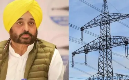 Punjab : मान सरकार की ‘मुफ्त बिजली योजना’ से करोड़ों परिवारों को मिली बड़ी राहत, करीब 90% घरों का बिजली बिल हुआ शून्य