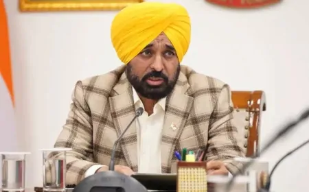 Punjab : मान सरकार का मशरूम खेती को बढ़ावा, ₹2 लाख की उत्पादन यूनिट लगाने पर ₹80 हजार तक मिलेगी सब्सिडी