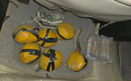 Punjab : यूपी निवासी समेत संगठित नशा नेटवर्क के 2 तस्कर गुरदासपुर से गिरफ्तार, 11 किलो हेरोइन और 5.75 लाख ड्रग मनी बरामद