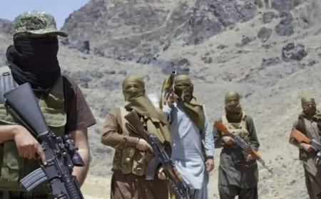 ‘ऑपरेशन हेरोफ’ में BLA का बड़ा दावा, 14 शहरों पर एक साथ हमला, अब तक मारे 362 पाकिस्तानी सैनिक