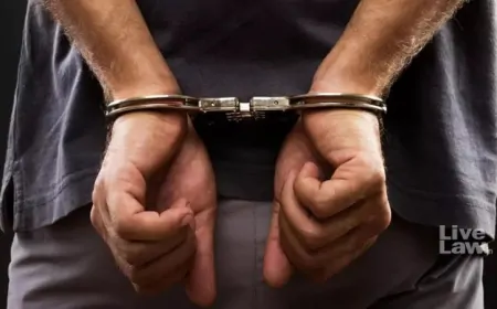 Punjab : नशा तस्करी के खिलाफ अभियान तेज, 584 ठिकानों पर छापेमारी, 12.3 Kg हेरोइन और 321 नशीली गोलियां जब्त