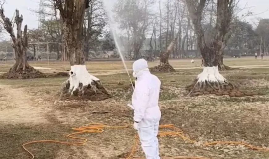 Bihar में बर्ड फ्लू ने दी दस्तक, खतरे में आए सैंकड़ों कौवे…