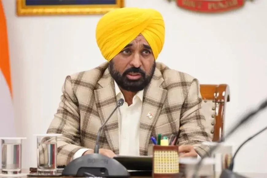 Punjab : मान सरकार का मशरूम खेती को बढ़ावा, ₹2 लाख की उत्पादन यूनिट लगाने पर ₹80 हजार तक मिलेगी सब्सिडी