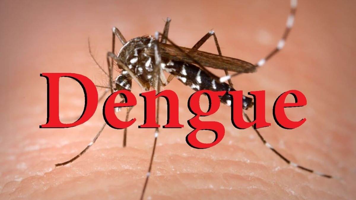 पंजाब में डेंगू केस काउंट 11,000 के पार, 7 की हुई मौत